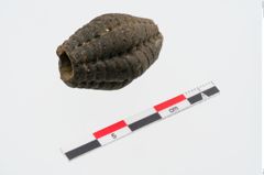 Foto von Glasmelonenperle (NHMW-PRAE-024747)